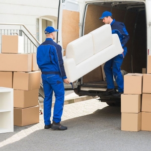 Man with a Van vs Full-Service Removals: Which Is Best for You in Melbourne?