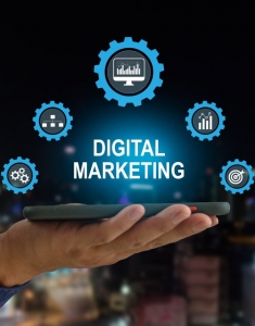 Elevate Your Brand with the Best Digital Marketing Experts in Delh