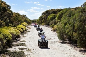 Weekend Getaways Made Better with ATV Rentals