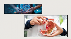 Who Are the Best Gastrointestinal Surgeons in Jaipur? Find Out Here!