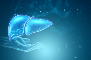 NASH Market Dynamics: Exploring Investment Opportunities in Nonalcoholic Steatohepatitis Treatment