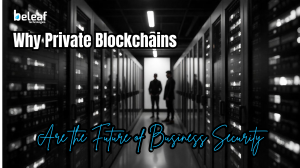 Why Private Blockchains Are the Future of Business Security