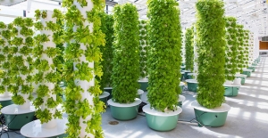 Unlocking Vertical Abundance: How Garden Towers Are Transforming Home Cultivation with Hydroponic Towers for Maximum Efficiency and Yield