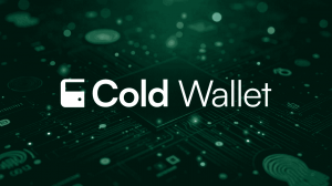 How to Choose the Best Cold Wallet for Your Crypto Assets?