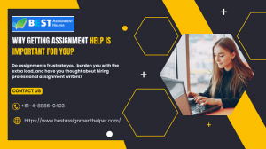 Why Getting Assignment Help Is Important For You?