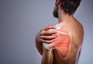 Understanding Shoulder Injuries: Causes, Symptoms, and Treatment Options