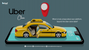 What is truly unique about your platform, beyond the Uber clone label?