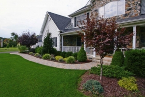 Top 11 Reasons to Hire a Professional Landscape Company in Riyadh This Season