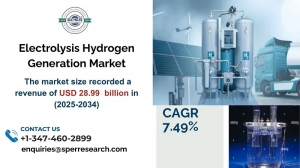 Electrolysis Hydrogen Generation Market Share, Size, Growth and Forecast 2034