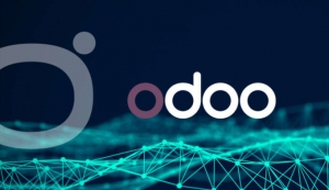 Warehouse Management System (Odoo): Optimizing Inventory Control