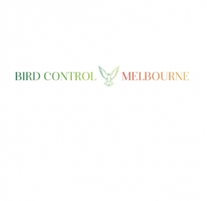 Effective Bird Proofing in Melbourne: Secure Your Property from Unwanted Feathered Guests