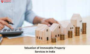 Rethinking Trust in Real Estate: Getting the Hang of Indian Immovable Property Services Valuation