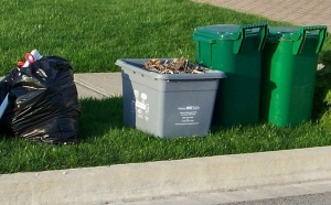 How Green Waste Removal Enhances Your Outdoor Experience?