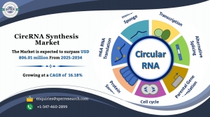 CircRNA Synthesis Market Challenges and Growth Opportunities