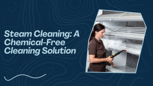 How Does Professional Steam Cleaner Reduce the Need for Harsh Chemicals? 