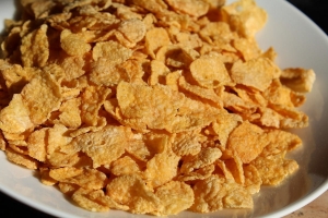 Corn Flakes Manufacturing Plant Cost 2025: Industry Trends, Machinery and Raw Materials