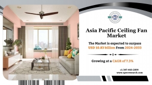 Asia Pacific Ceiling Fan Market Size, Growth and Future Scope
