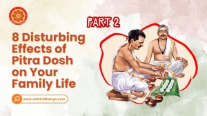vidhi vidhanya Effects of Pitra Dosh on Your Family Life