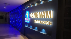 Gangnam Karaoke: The Heartbeat of Seoul’s Night Scene