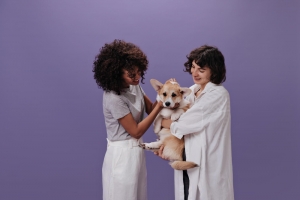 Finding Reliable Dog Groomers Near You: What to Know