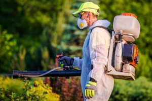 How Seasonal Changes Affect Pest Behavior and What You Can Do About It