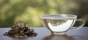 Elevate Your Tea Experience: Must-Try these 5 Recommendations