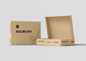 Custom Mailer Boxes: The Future of Functional and Branded Packaging