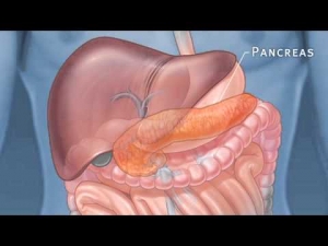 Choosing the Right Clinic for Pancreatic Surgery Singapore – ALPS Clinic Guide