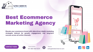 Best Ecommerce Marketing Agency in India to Help You Grow Your Brand Online—Wish Geeks Techserve