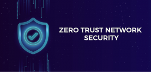 Zero Trust Network Security: A New Era of Cyber Defense