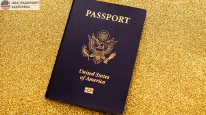 USA Passport Application Online: US Passport Colors Explained Black, Red, Blue, and More