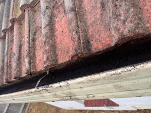 Gutter Cleaning Clayton South – Keep Your Home Safe & Sound