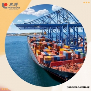 Global Trade with Trusted NVOCC Services Singapore