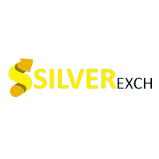 Silverbhai: The New-Age Gaming Platform You Can Trust