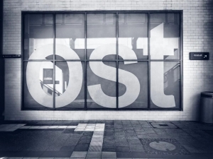 Custom Vinyl Window Decals to Boost Your Business in Indianapolis