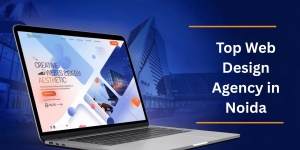 Best Creative Web Designers in Noida