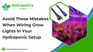 Avoid These Mistakes When Wiring Grow Lights in Your Hydroponic Setup