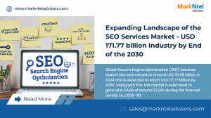 Global Search Engine Optimization SEO Services Market, Business Trends 2030