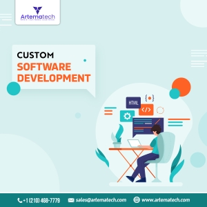 Top Advantages of Custom Software Development