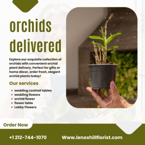 Where to Order Orchid Delivery in NYC