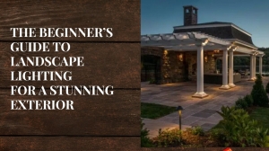 The Beginner’s Guide to Landscape Lighting for a Stunning Exterior