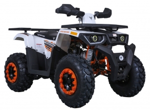 ATV 101: Understanding the Language of Off-Road Adventures
