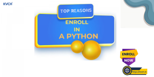 Top 10 Reasons to Enroll in a Python Full Stack Course Today