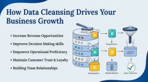 Real Success: How Data Cleansing Grew Business