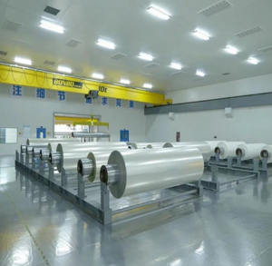 High Strength PET Film