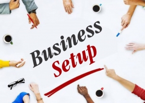 Business Setup Service by Mercurius & Associates LLP