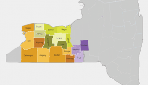 Understanding the Role of a Bail Company Bondsman Agent in New York!