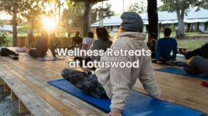 Rediscover Yourself at Lotuswood: Wellness Retreats in Middletown that Actually Make You Feel Again