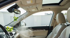 The Ultimate Guide to Long-Lasting Freshness in Your Vehicle