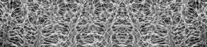 What Product is PTFE Membrane Used for? 